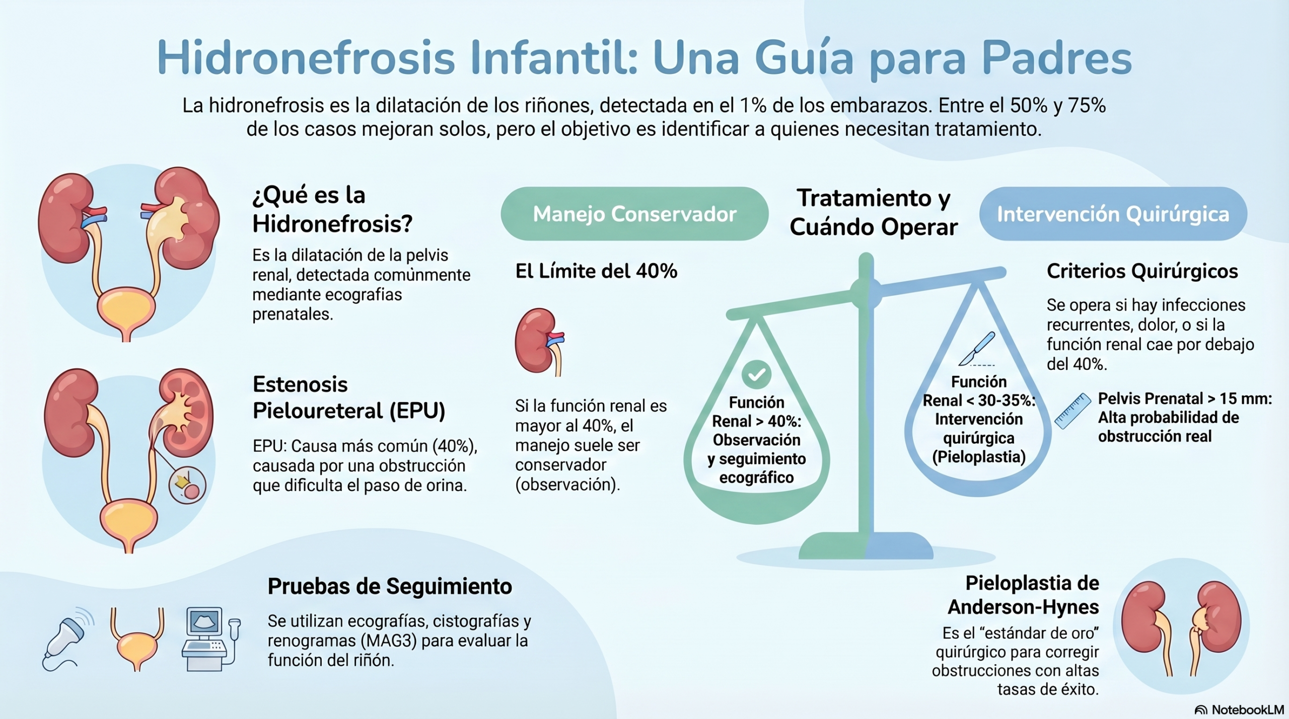 imagen médica sobre hidronefrosis para padres - uso educacional